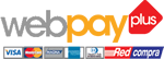 Paga con Webpay
